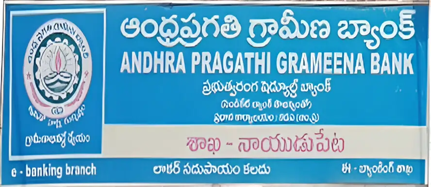 Andhra Pragathi Grameena Bank-whatismyifsc.in